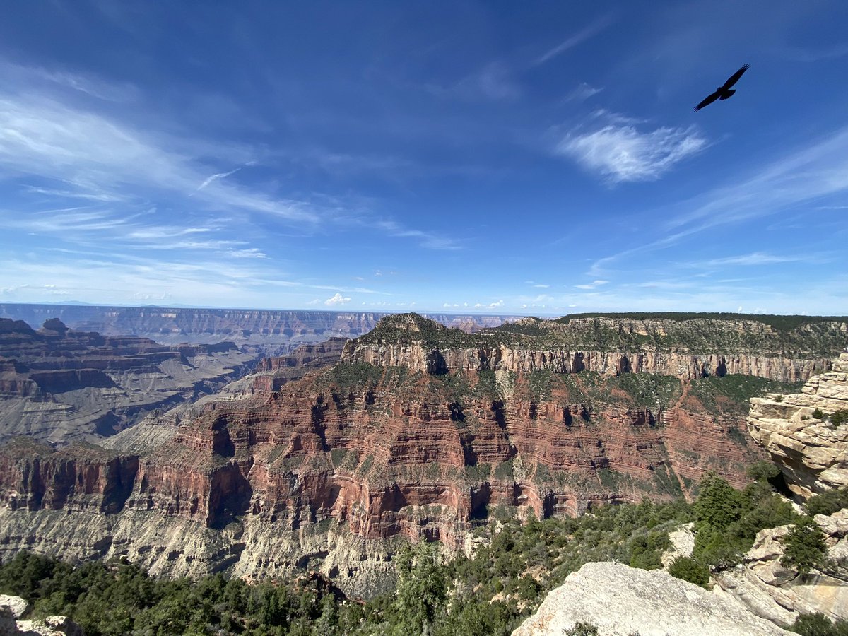 ashmreyn's tweet photo. Pt. 2: Zion (Narrows), Grand Canyon, and Bryce Canyon #Utah #Arizona #zion #grandcanyon #brycecanyon #nationalparks https://t.co/BfVQsCmeSK