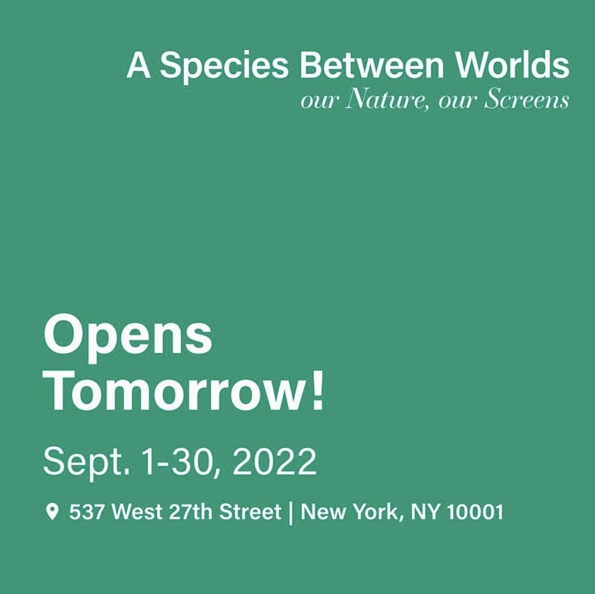 Life Calling tweet media