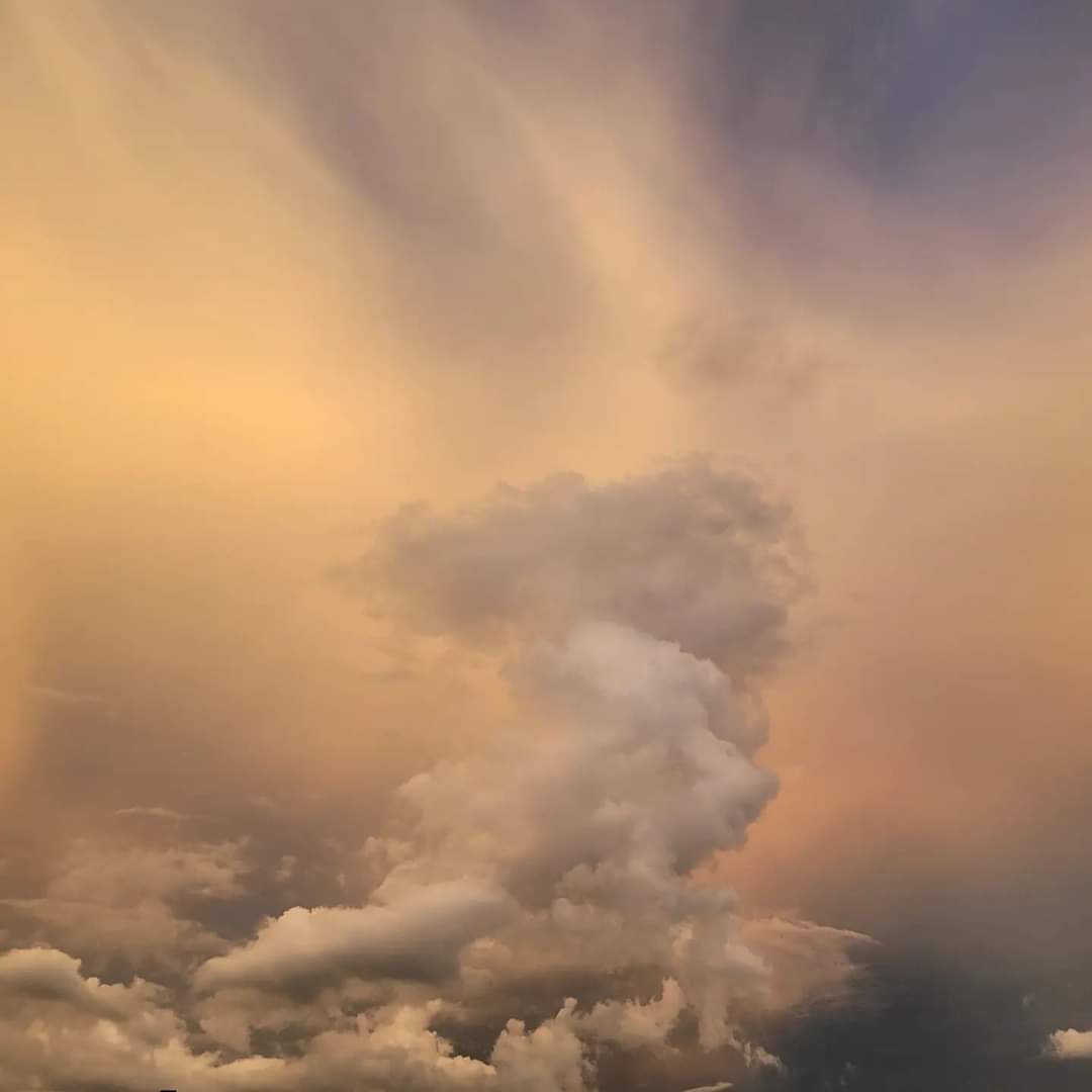 april_aka_AP's tweet photo. Sunset. 8.27.2022 #itsthelittlethings #Sarasota โ๏ธ๐
#skyscape ๐โ
#cloudscape ๐ฅ๐ซ #latergrams ๐ธ #II https://t.co/FcMuCh4OOB