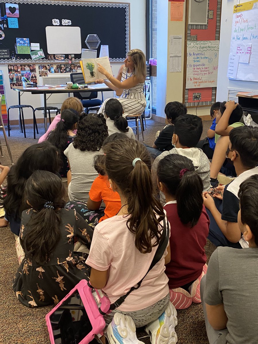 Sarah Salemi tweet media