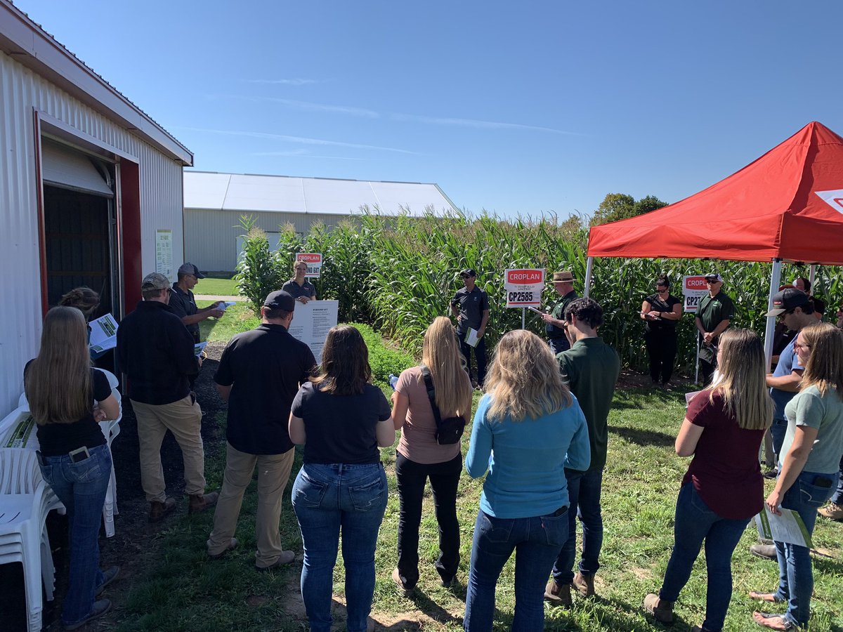 Chris Roy tweet media