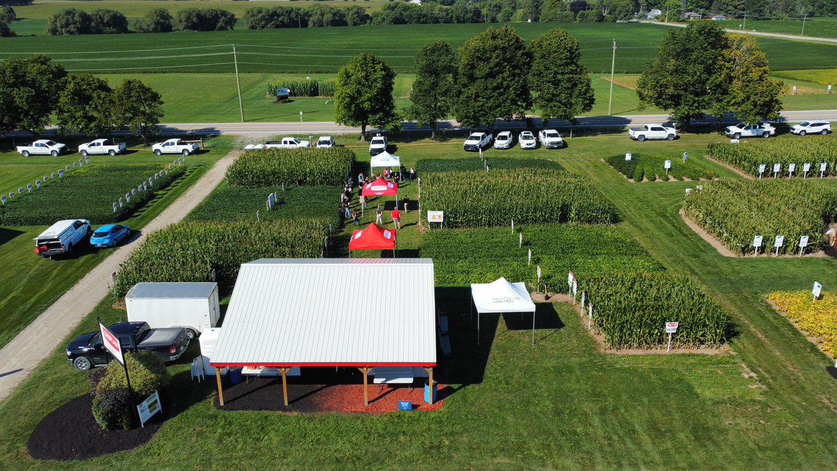 Chris Roy tweet media