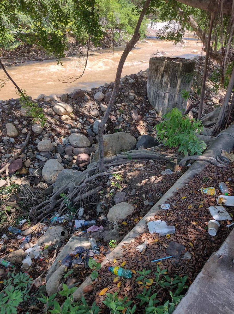 reportediariopv's tweet photo. Lo agarran de basurero
-Vecinos reportan que en la rivera del río Cuale en la colonia el Remance, la gente tira sus residuos contaminando la zona.
#basura #contaminación #rio #remance #riocuale #vecinos #PuertoVallarta https://t.co/PePM7ZBVuV
