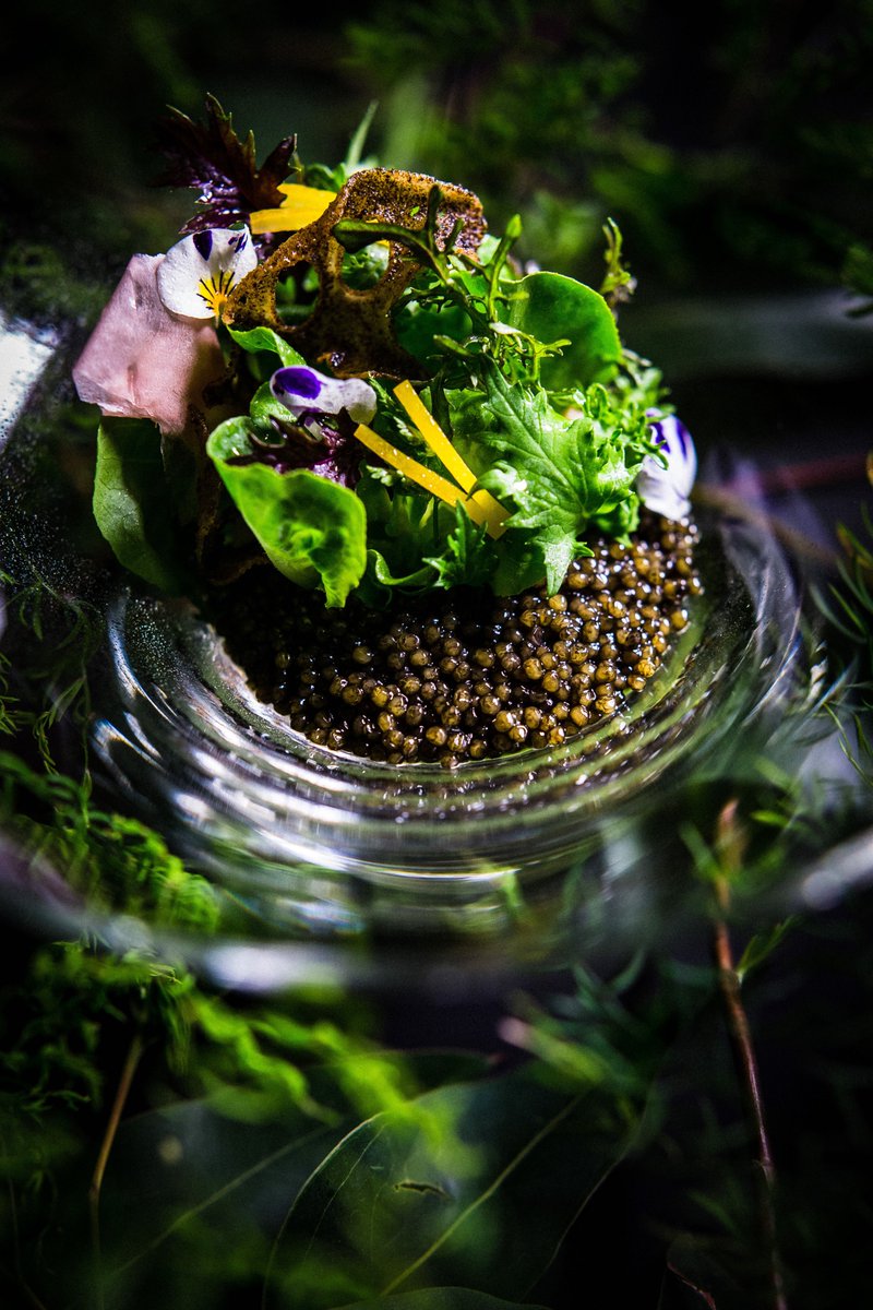 Bookings are open for the month of October! We are also pleased to announce that beginning October 5th, the Restaurant is now accepting bookings on Wednesdays. 

We look forward to welcoming you to autumn in Sonoma County!
#singlethreadfarms