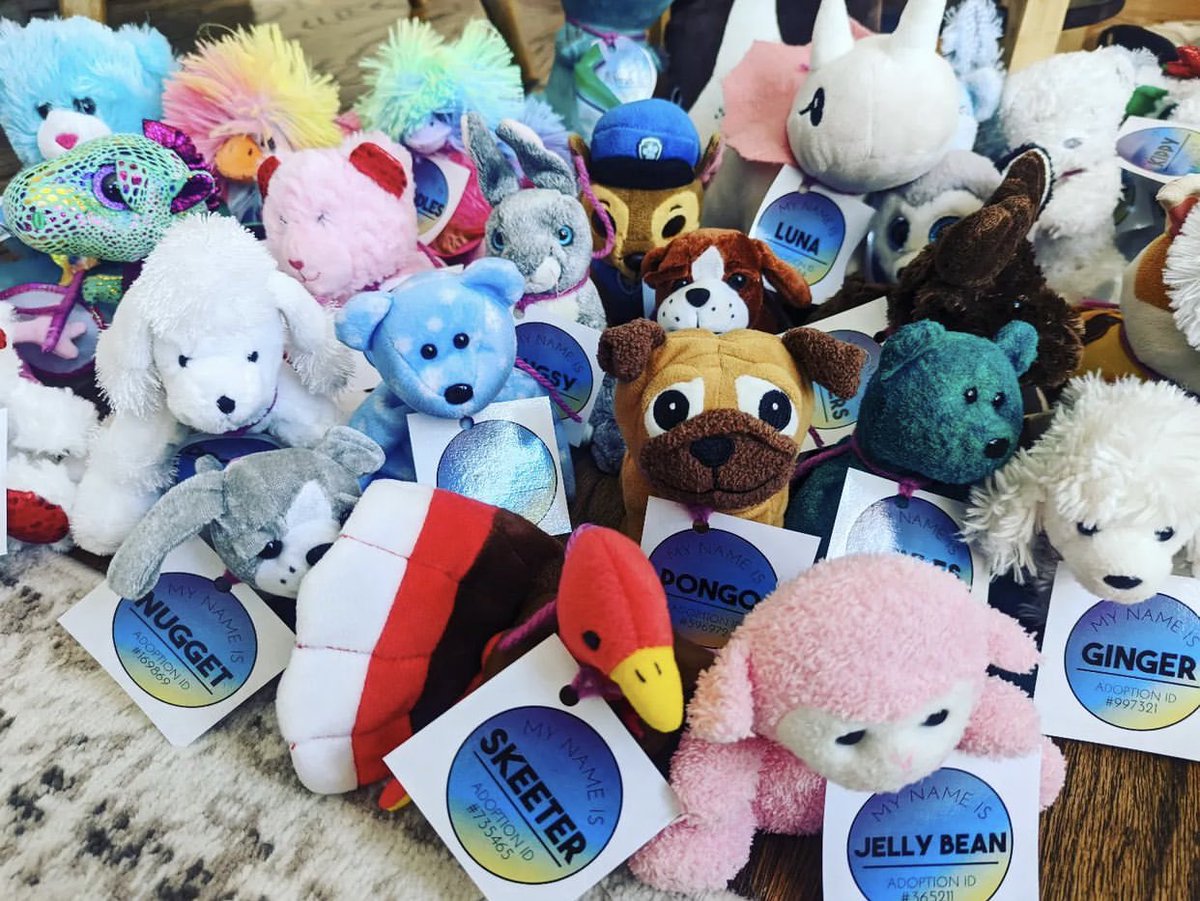 saraharpminter's tweet photo. Tomorrow is a big day for these guys! Not only is it September 1st, but it’s the first day of reading logs for first grade and adoption day for this group! 1st graders will adopt these guys, bring them home, and read to them each night! We are excited! #teamMinter #ShineTogether https://t.co/LRl5Yp82wP
