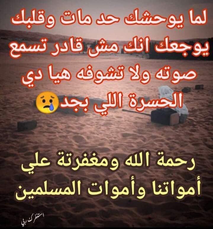 Hayam Abdelfatah (@hayamabdelfata1) on Twitter photo 