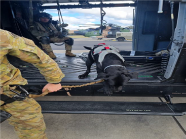SME's EDD Basic Handlers Course and 6th Avn Regt recently conducted helicopter winch training, providing the exposure to airborne operations, environmental conditioning & bond between handler and canine that ensure the teams are #futureready for exercises and operations.