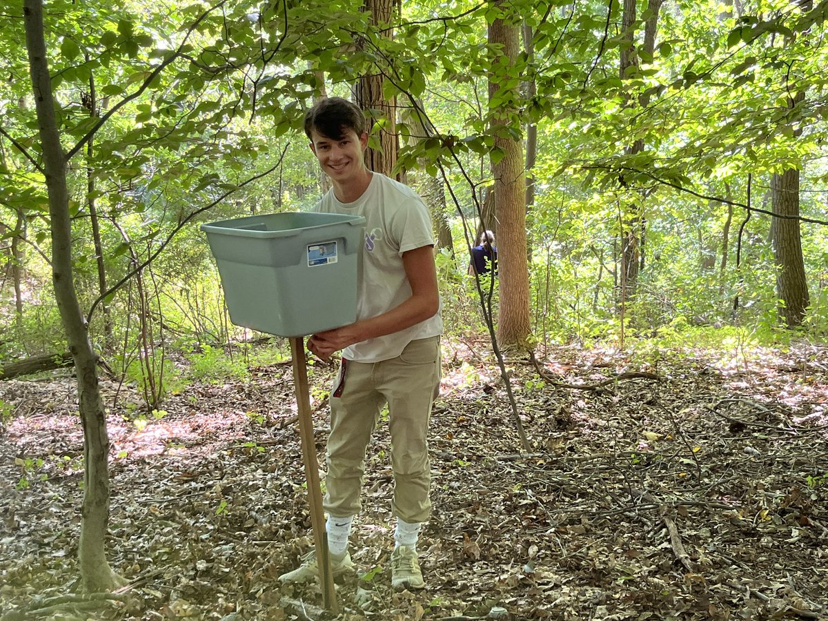LVCEnvi's tweet image. Jake Beidler (ENVI ‘23) and Ben Smith (BCMB ‘24, ENVI minor) spent the afternoon setting up mast traps and collecting data on the herbaceous plant community in one of our deer exclosures.  It was a beautiful day for fieldwork! #LVCEnvi #LVCResearch