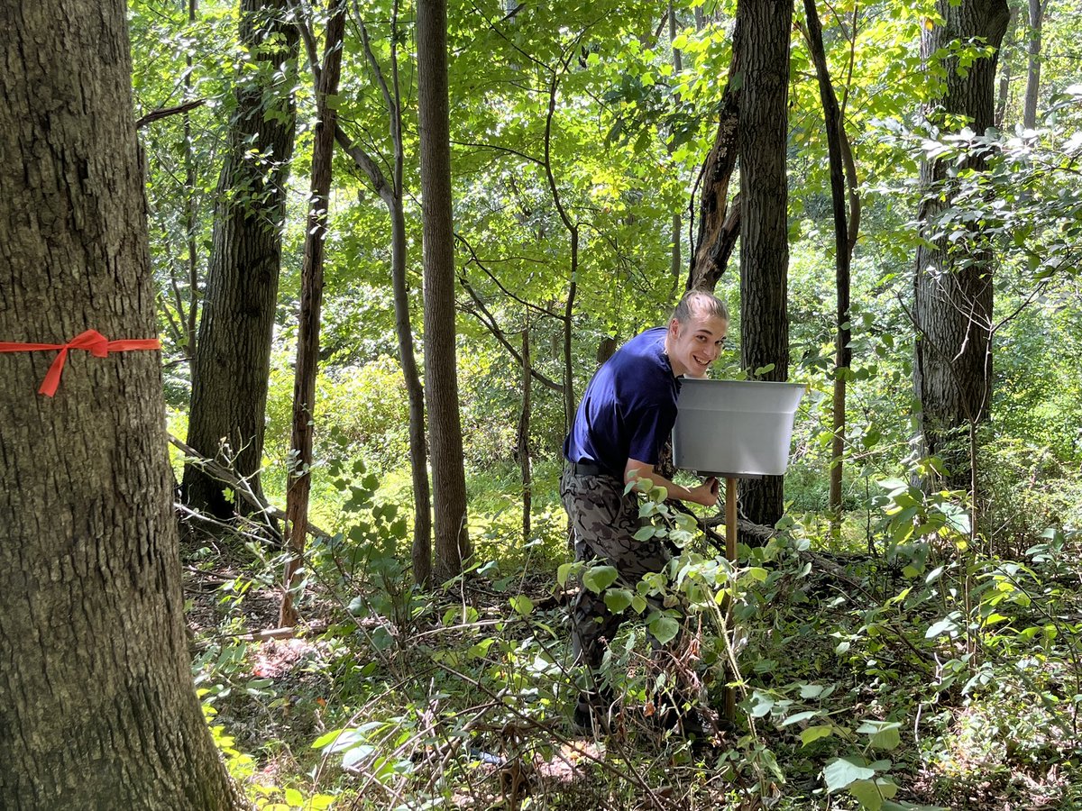 LVCEnvi's tweet image. Jake Beidler (ENVI ‘23) and Ben Smith (BCMB ‘24, ENVI minor) spent the afternoon setting up mast traps and collecting data on the herbaceous plant community in one of our deer exclosures.  It was a beautiful day for fieldwork! #LVCEnvi #LVCResearch