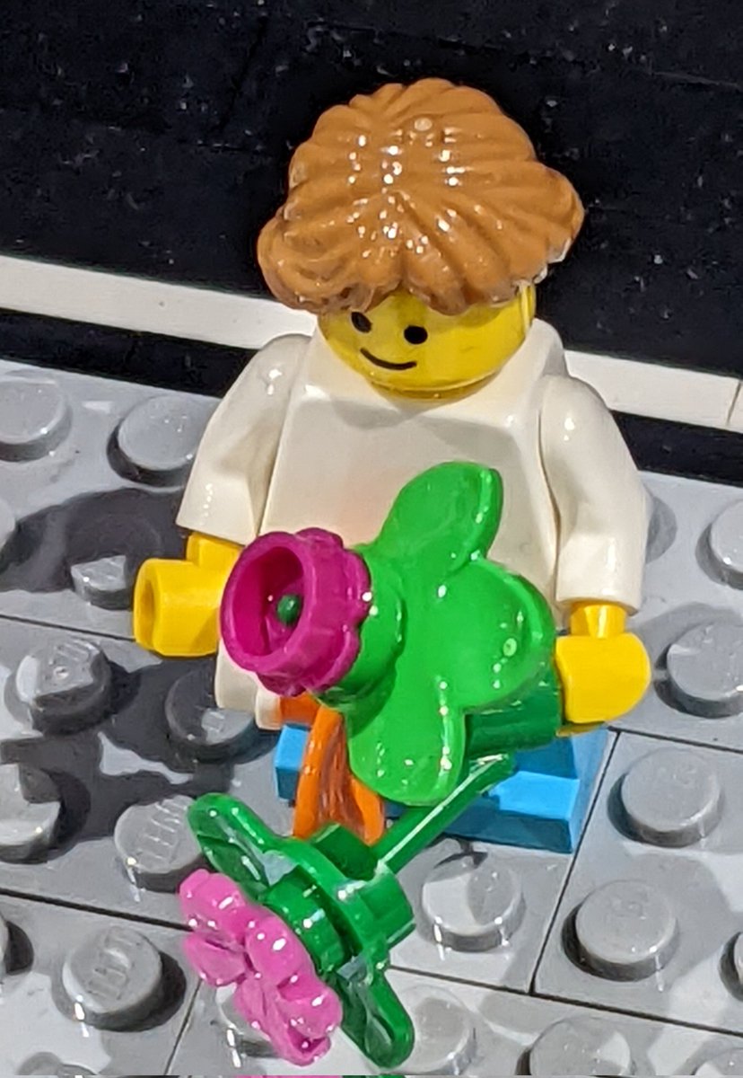 Midrange Dynamics North America tweet media