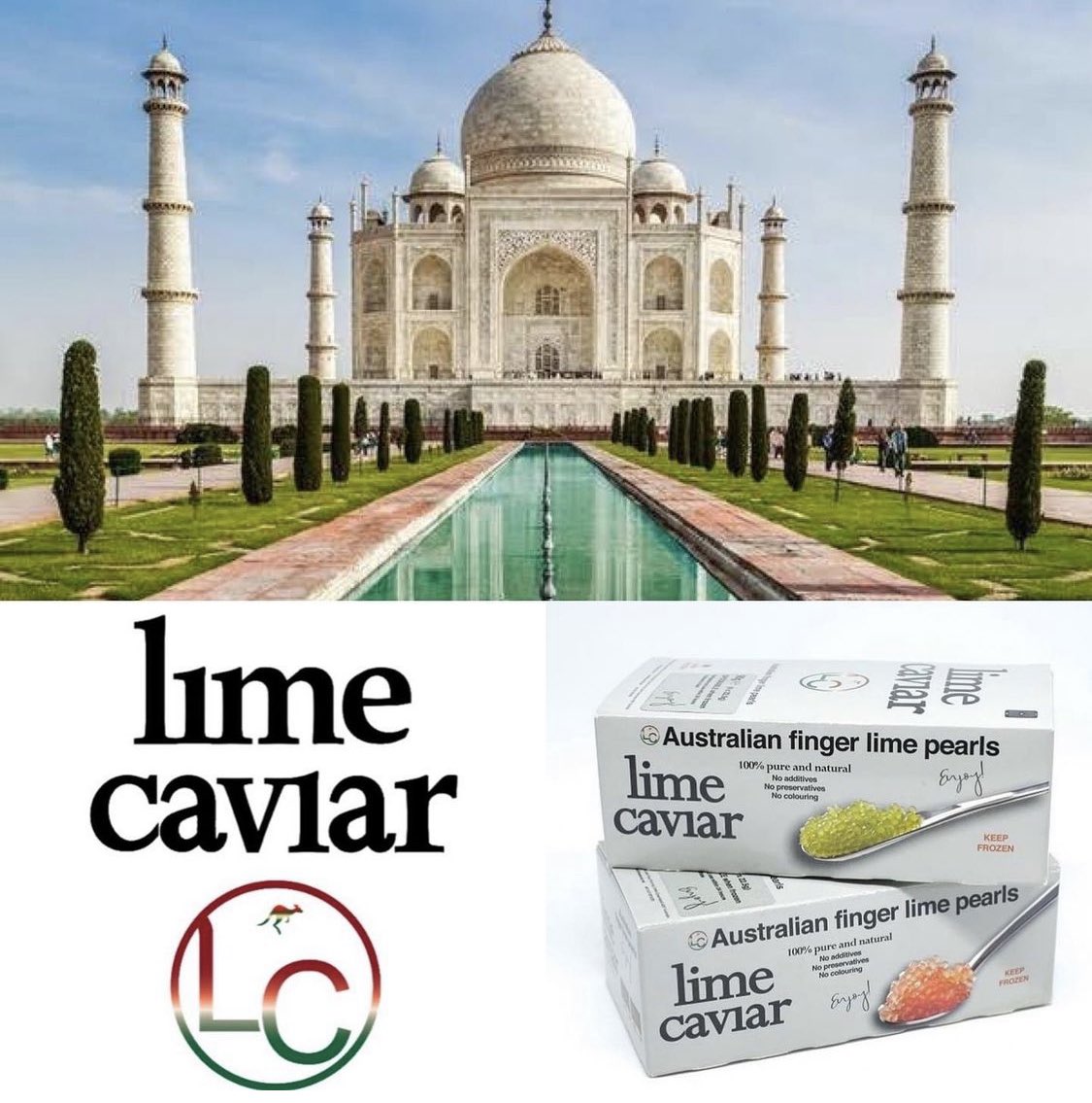 Our multi-award winning lime caviar is off to Delhi, India 🇮🇳 For further information go to our website limecaviar.net or email info@limecaviar.net #limecaviar #fingerlime #fingerlimes #thelimecaviarcompany #india #delhi #indianfood #indianchefs #australia #export