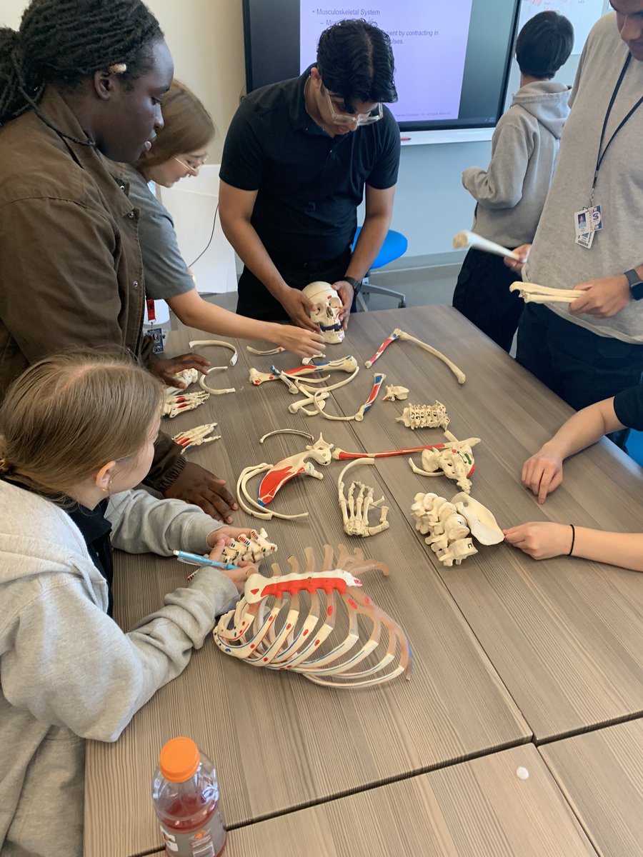 Breaking down skeletons in EMT #thegisdeffect <a href="/GR_CTC/">Gilbreath-Reed CTC</a>