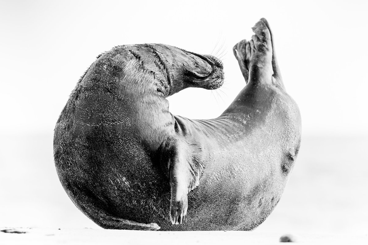 Girls Who Click tweet media