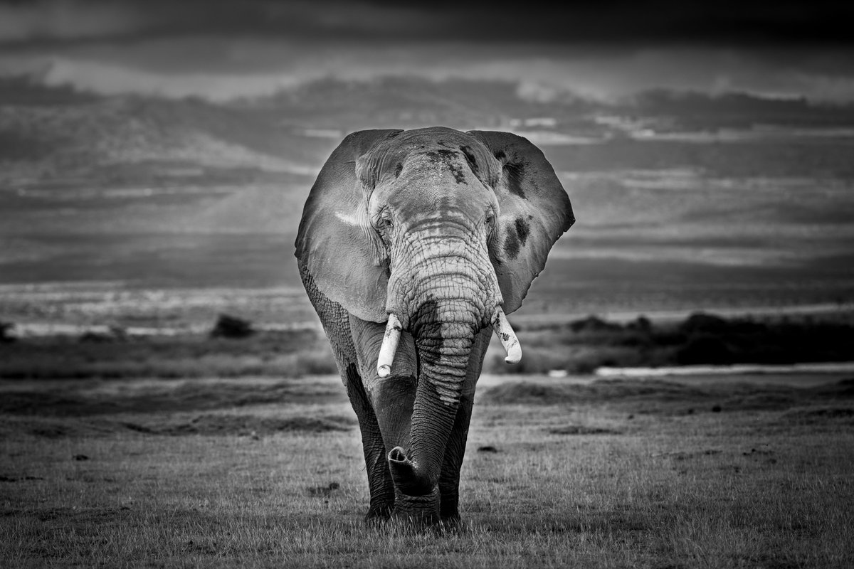 Girls Who Click tweet media