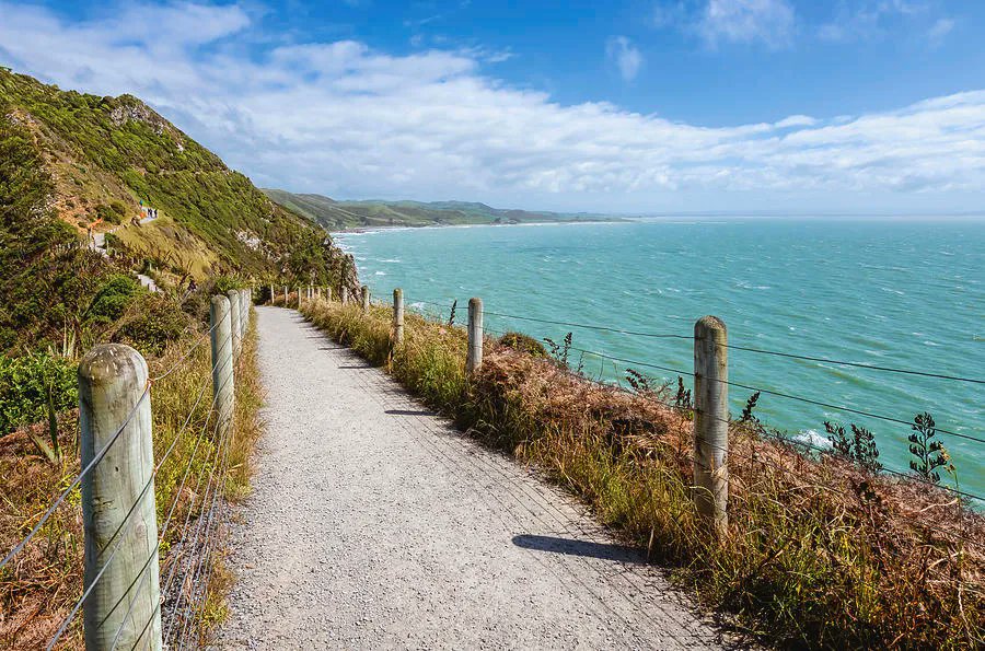joancarroll's tweet photo. At Nugget Point New Zealand! https://t.co/WceNf2rWrR #NewZealand #nuggetpoint #hiking #trail #ocean #seaside #coastal #southisland @joancarroll https://t.co/qWYpnP0n41