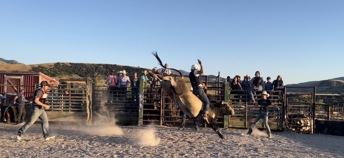 trevkell98's tweet image. Been too long twitter, couple cool ones from last week