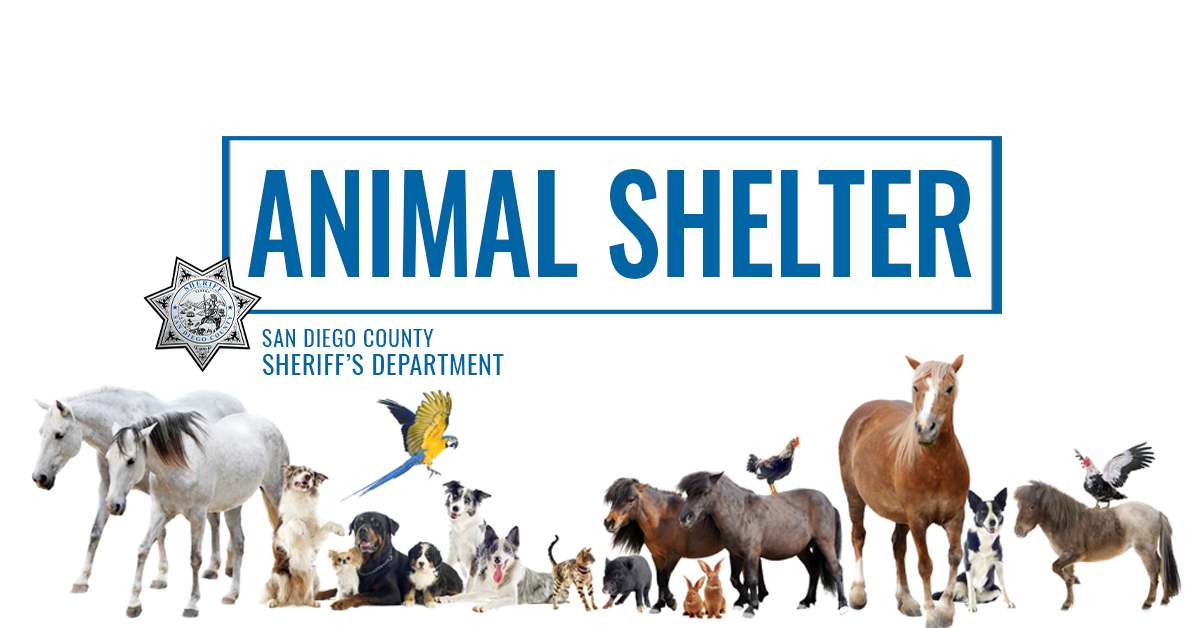 #Border32Fire #Update 
The <a href="/SanDiegoCounty/">SanDiegoCounty</a> Animal Shelter at located at 5821 Sweetwater Road in Bonita remains open and is accepting large animals and pets affected by the fire. For more information, call County Animal Services at (619) 236-2341.