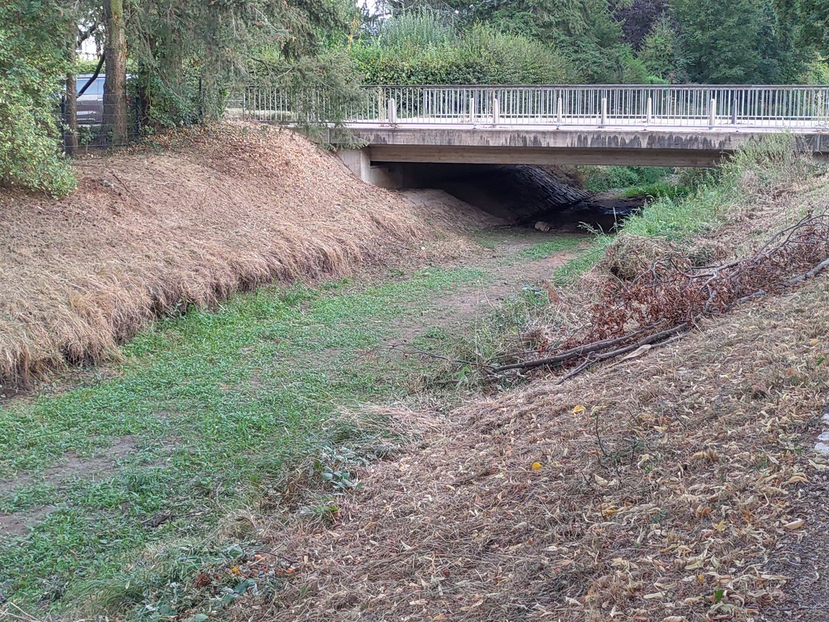 veloman_nrw's tweet image. Das Flussbett vom #Rotbach in #Dinslaken ist so trocken, dass eine Bepflanzung stattfindet, wie auf einer Wiese. #MdRzA #Radfahren #Klimawandel