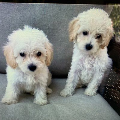 SydneyMeis's tweet photo. #NewProfilePic https://t.co/kCRZlG6hQM
