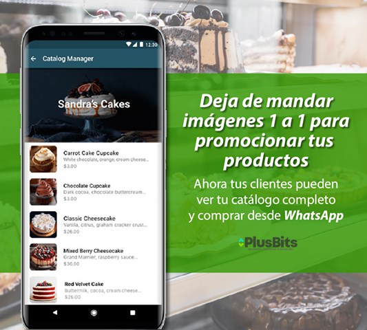 PlusBitsMx's tweet photo. Diseñamos tu catálogo para Whatsapp al mejor precio 🔥
✉️ Envianos mensaje
-
#catalogo #ventas #curso #tips #plusbits #whatsapp #negocios #emprender #oferta #giveaway #concurso #negocios 
Diseño de catalogos y tiendas en San Luis Potosi, Mexico. https://t.co/XurqWoF33W