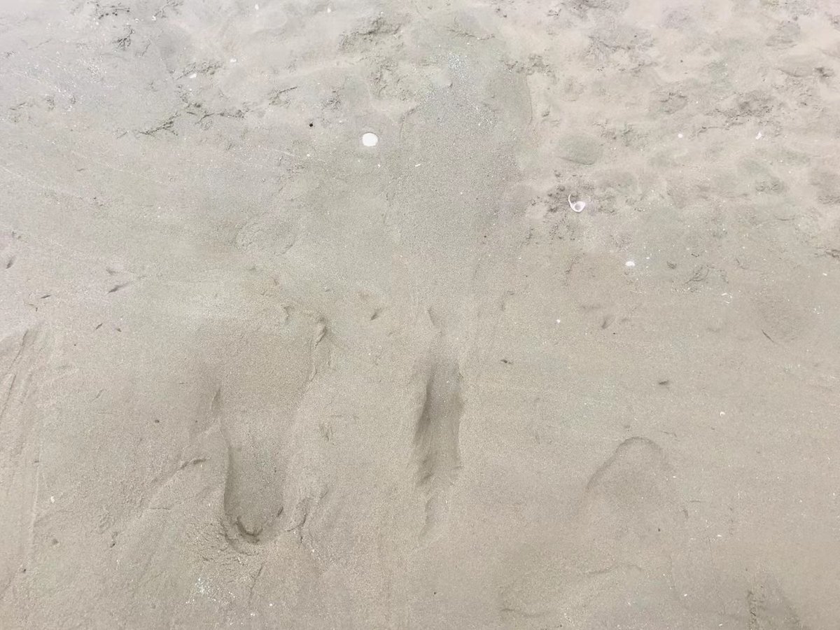 Mr.死因 on Twitter: RT @feizhuks: 真应景 大家来写一首诗 @woaisifang @jinghuahuicui 