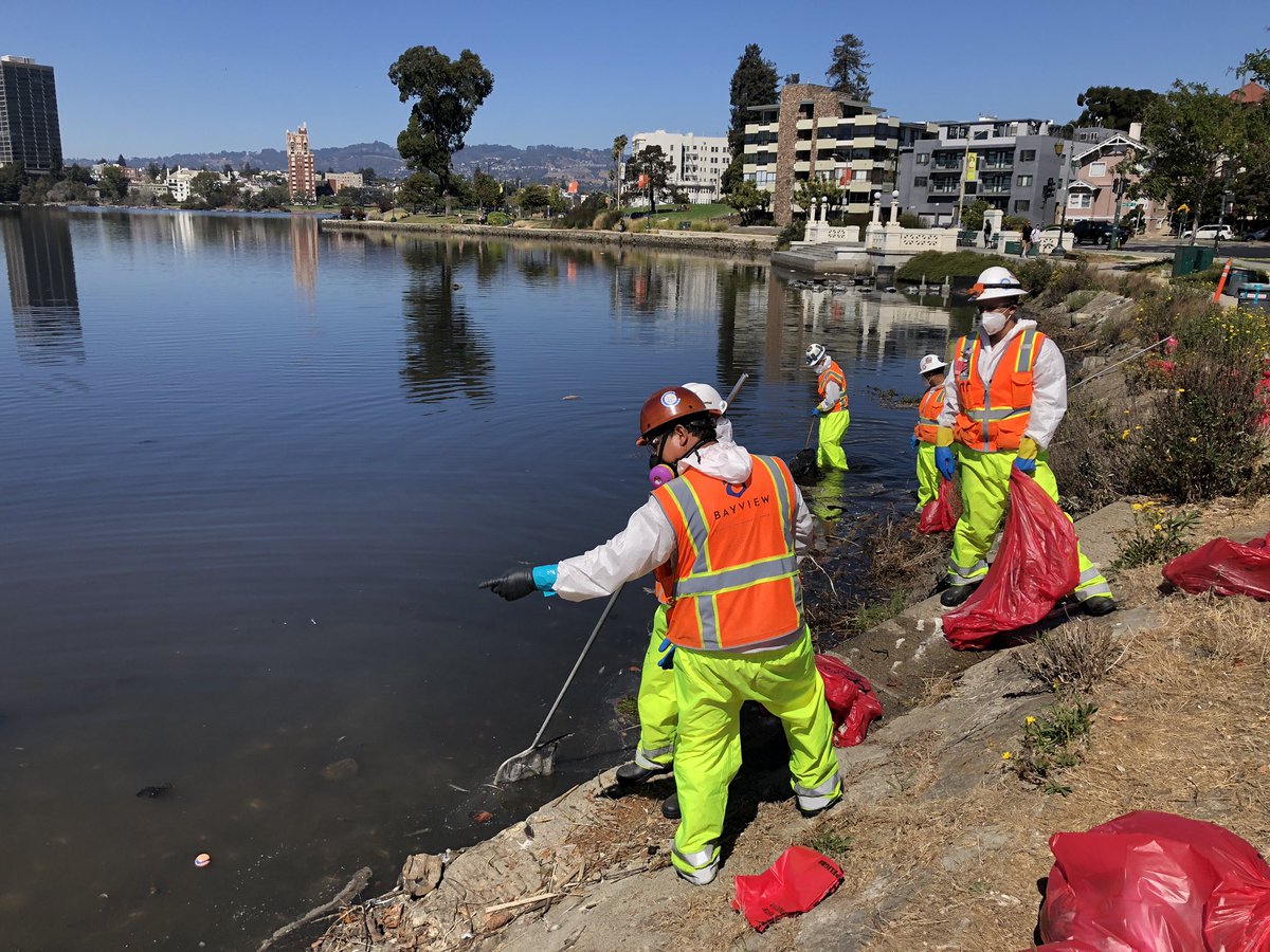 JCsupernova's tweet photo. Workers using nets along the south shore of #LakeMerritt scoop of different species of #dead #fish who have succumbed to an apparent #algae #bloom event https://t.co/VHc4RcxLkq