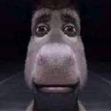 Cuando le preguntas por que es el mejor coach y te empieza a hablar sobre variantes y alrededor de