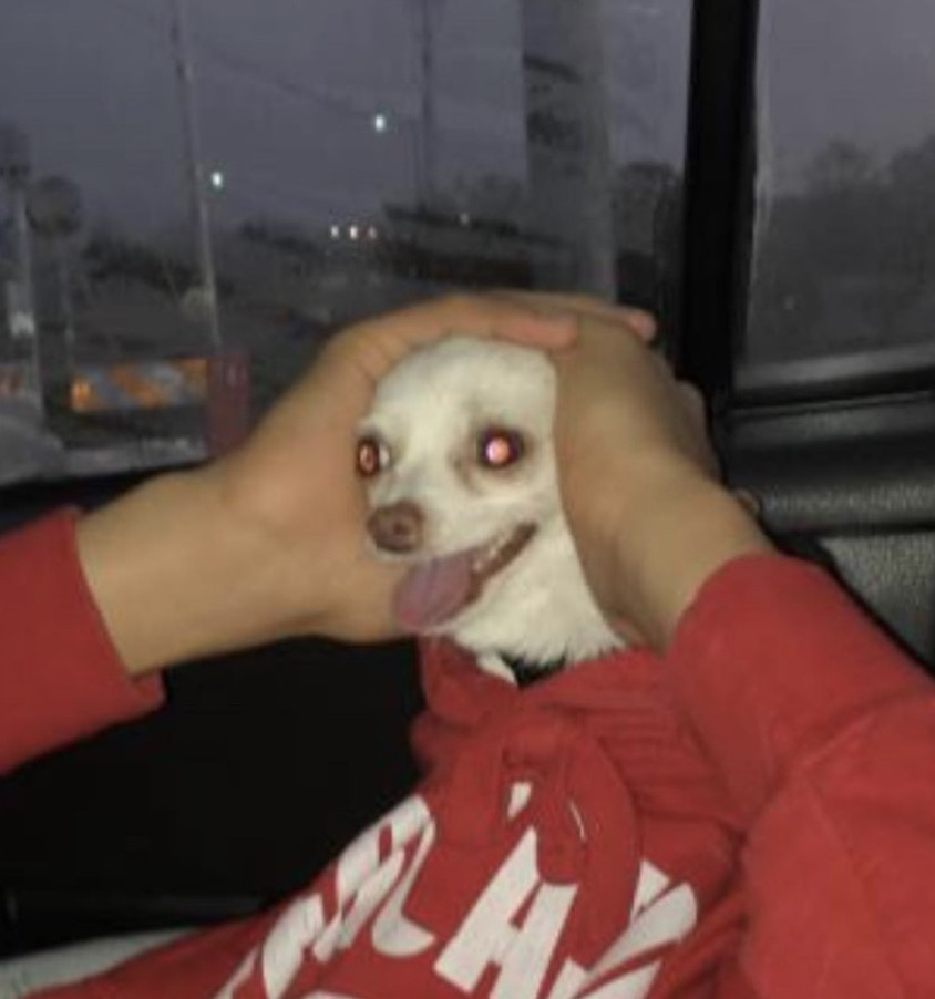 SarahCAndersen's tweet image. Thinking about the amount of elaborate music videos in my head that I believe are works of artistic genius that no one will ever see