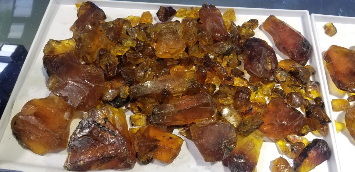 folkertreasure's tweet photo. Natural rough Amber 10 kilo Available

Discount on quantity 
Shipping through fedex $55 usd 
PayPal Accepted 
 😍 #amber #burmaamber #roughamber #burmagemstone #roughgemstone #gems #gemstone #facetedgems #cutgemstone #losegemstone #gemstonejewelry #gemstonejewellery #jewelryshop https://t.co/NPtqL24Zoa
