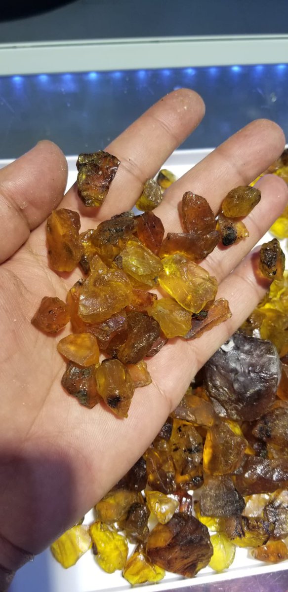 folkertreasure's tweet photo. Natural rough Amber 10 kilo Available

Discount on quantity 
Shipping through fedex $55 usd 
PayPal Accepted 
 😍 #amber #burmaamber #roughamber #burmagemstone #roughgemstone #gems #gemstone #facetedgems #cutgemstone #losegemstone #gemstonejewelry #gemstonejewellery #jewelryshop https://t.co/NPtqL24Zoa