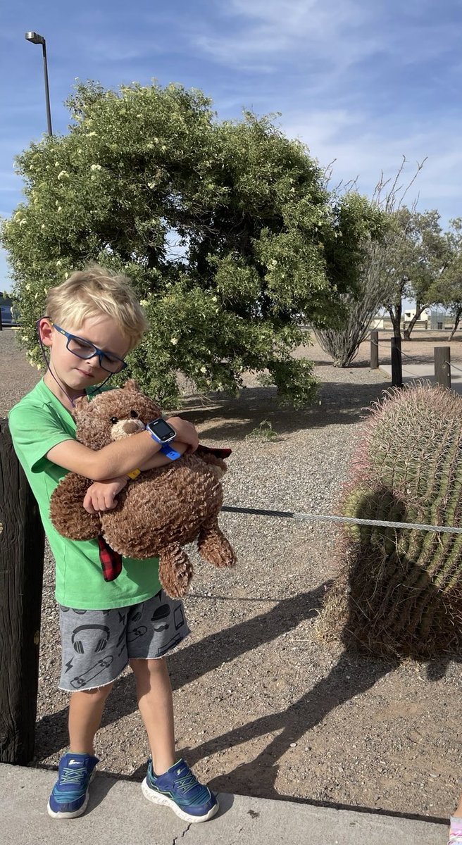 vanilla167's tweet photo. Hey @Publix ! Do you have this teddy bear in stock somewhere? I’ve bought it at Publix in 2021. My son lost his beloved teddy bear 3 days ago and his heart is broken🙁 https://t.co/lXpYezryO0