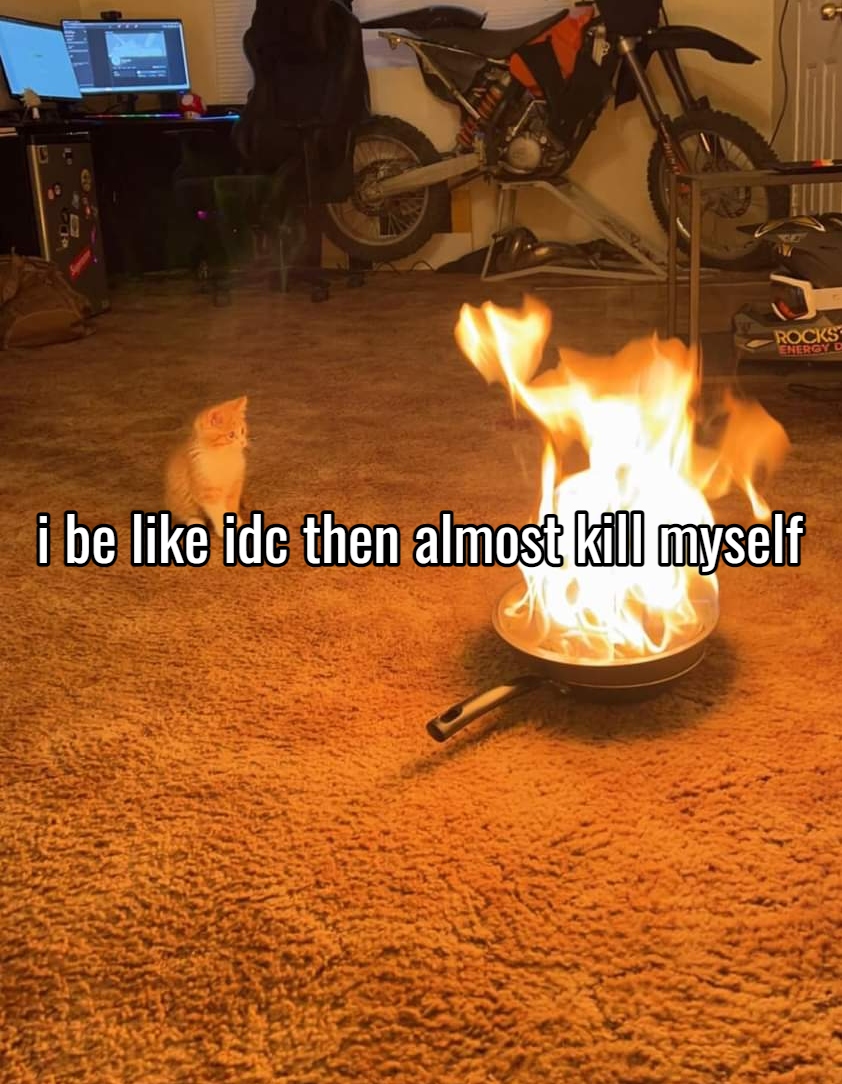 somethinglovely's tweet image. 