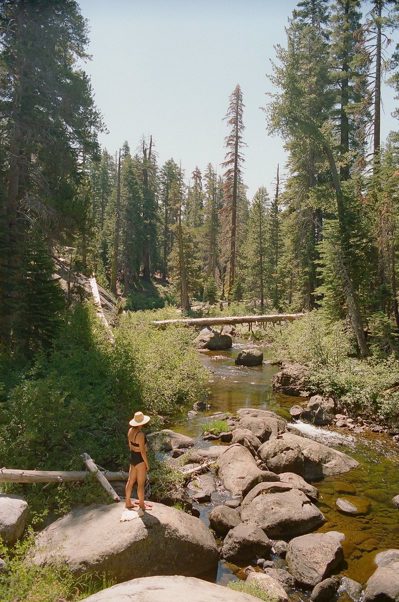 EdgewoodEdition's tweet photo. Some b roll from the Sierras, a couple of summers ago. https://t.co/KcLWm2acPo
