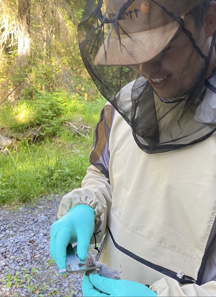 StephenShikaze's tweet photo. Well that concludes a summer of learning from an amazing group of scientists, honing my skills in wildlife disease research, and lots and lots of blueberries. Kiitos Finland! https://t.co/6QgSGg87xV
