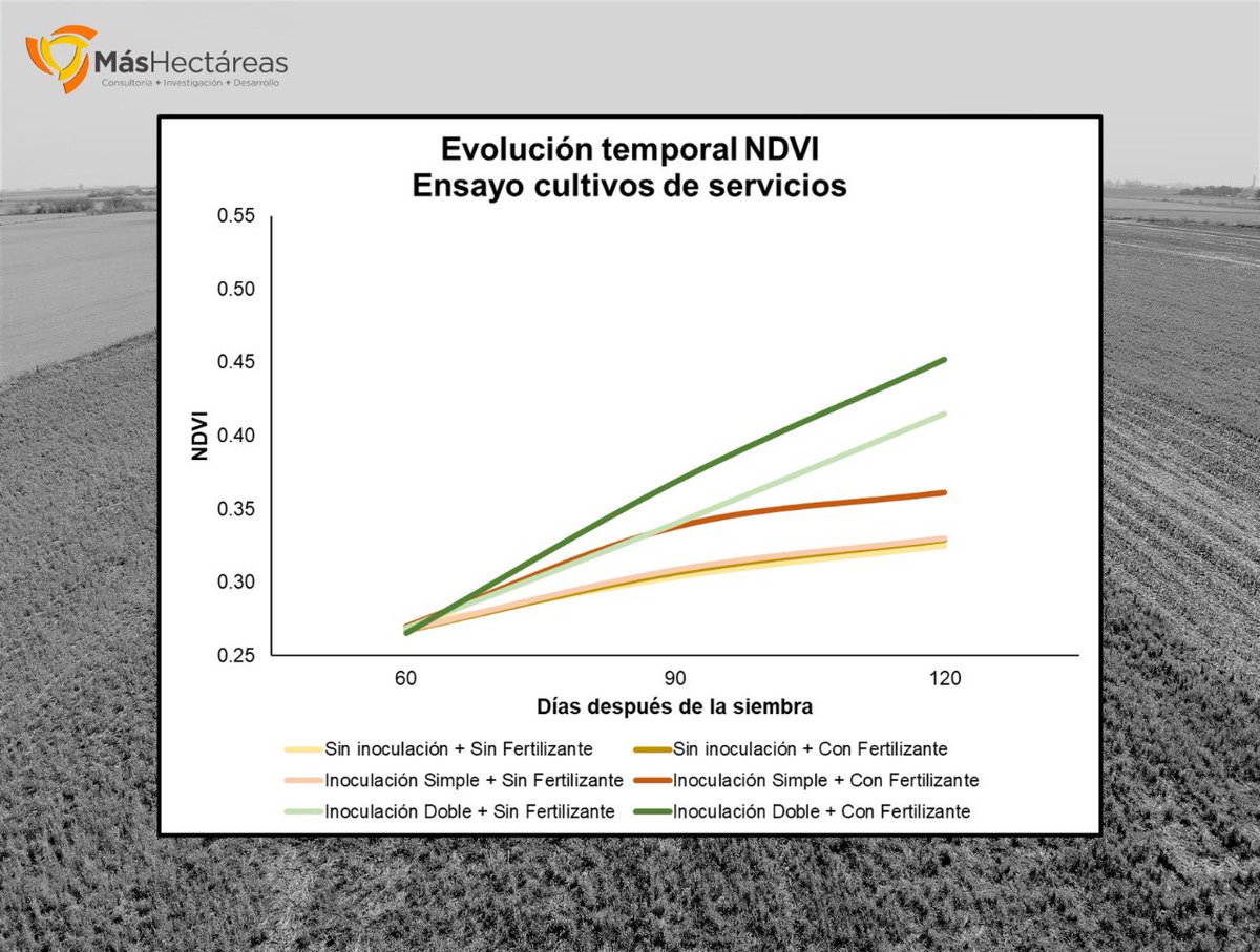 MasHectareas's tweet photo. Franjas demostrativas de vicia+centeno variando dosis de inoculante e interacción con fertilización. Siembra tardía (30/4) y en año seco, para evaluar el año de mínima en producción de MS, control de malezas e impacto en el rendimiento de la soja. Y N, el próximo año en trigo. https://t.co/21UrdsHUpl