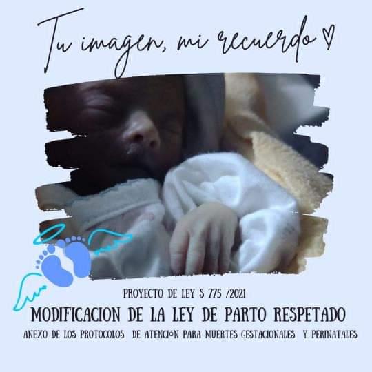 tu imagen, mi recuerdo tweet media