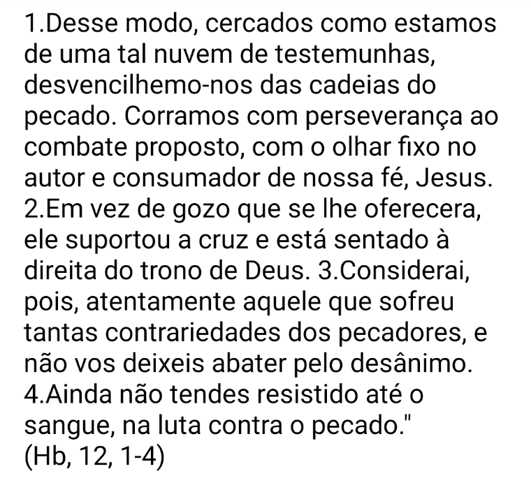 Angus Lacer tweet media