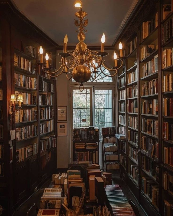 softdeIicacy's tweet photo. classic library. https://t.co/nLEkpNEYg3