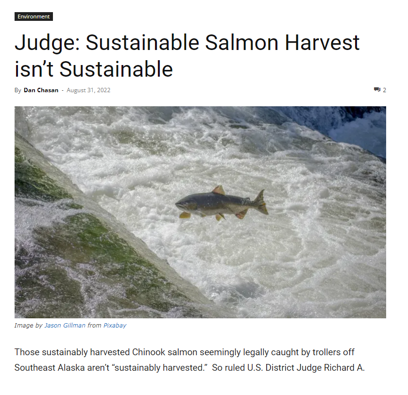 wildfishNW's tweet photo. Read Dan Chasen's refreshingly honest article in @alley_post weighing in WFC's recent lawsuit and NOAA's "hocus-pocus pie in the sky" plan to continue unsustainable harvest at the expense of ESA-listed Southern Resident orcas and wild Chinook.
https://t.co/VH6RiKKYFk https://t.co/apWnaldA4X