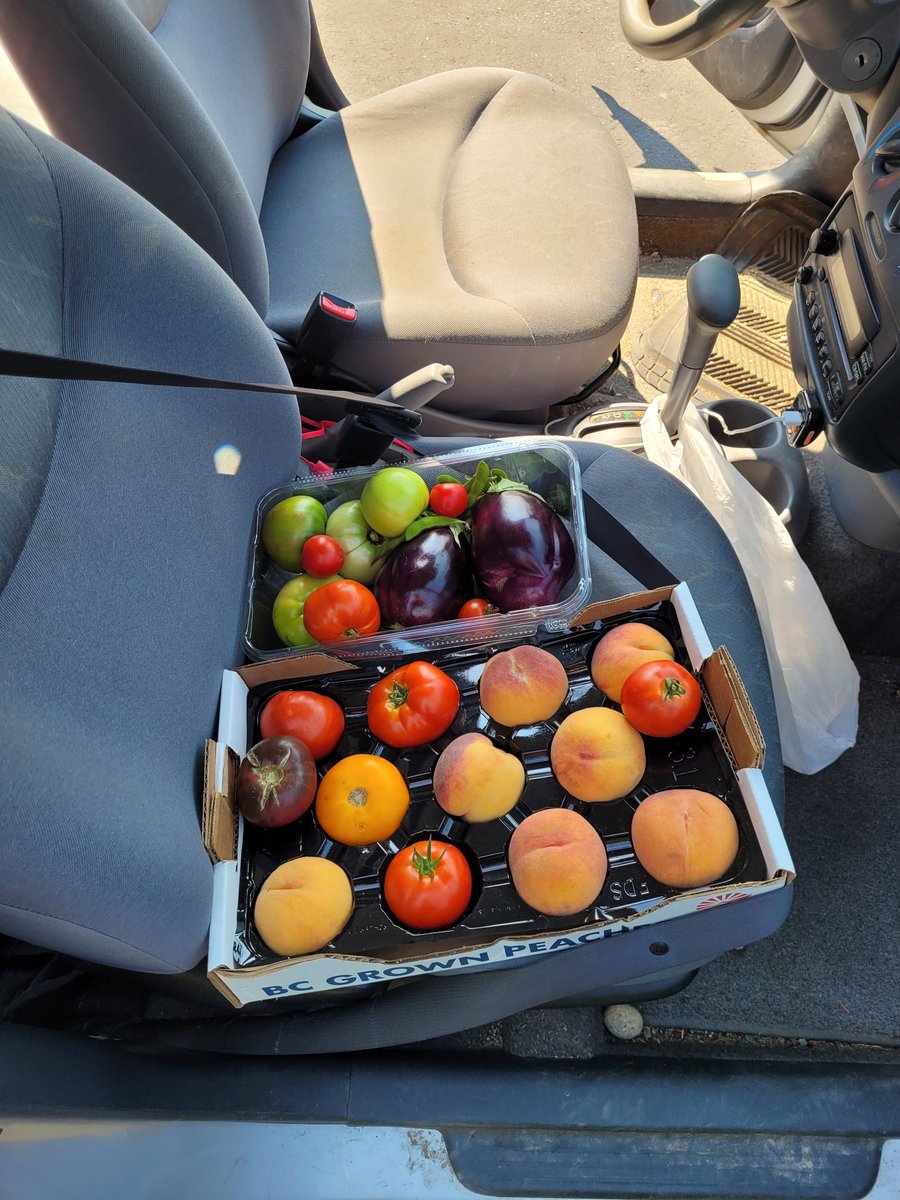 baileygingras's tweet image. Priorities.