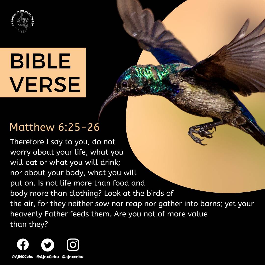 AjncCebu's tweet photo. Do you constantly worry about your needs?

May this verse remind us that Jesus is still our Jehovah Jireh, the God who provides.

Let us not worry about anything but instead trust in the Lord. If God cares for the birds, how much more value are we to Him? https://t.co/4G9BBkqkWM