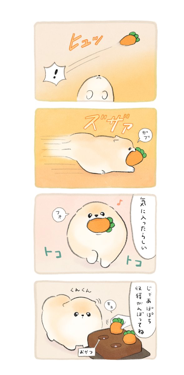 ふわふわポメのぽぽち🥕
にんじんの収穫できるかな? 