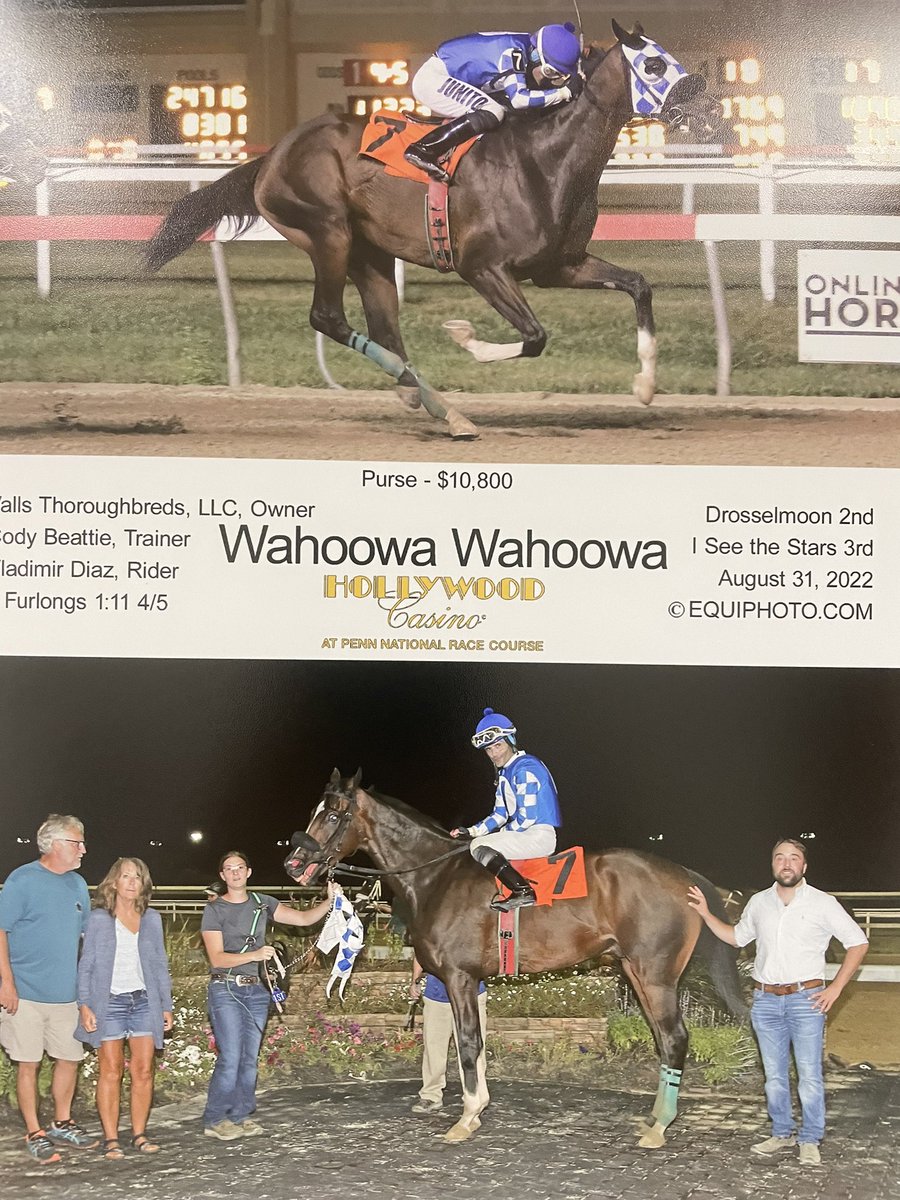 CCBRacingStable's tweet photo. #paracing #hollywoodcasino #horses #racehorses #pennnational https://t.co/Fb4nvfXewd