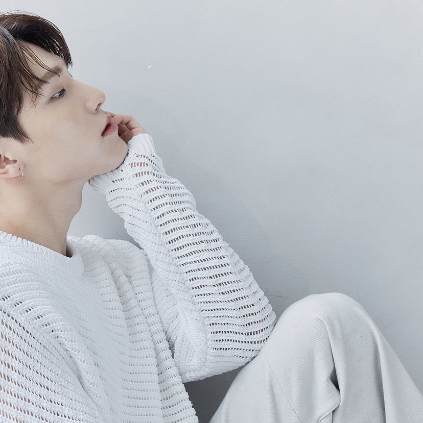 디노.zip tweet media