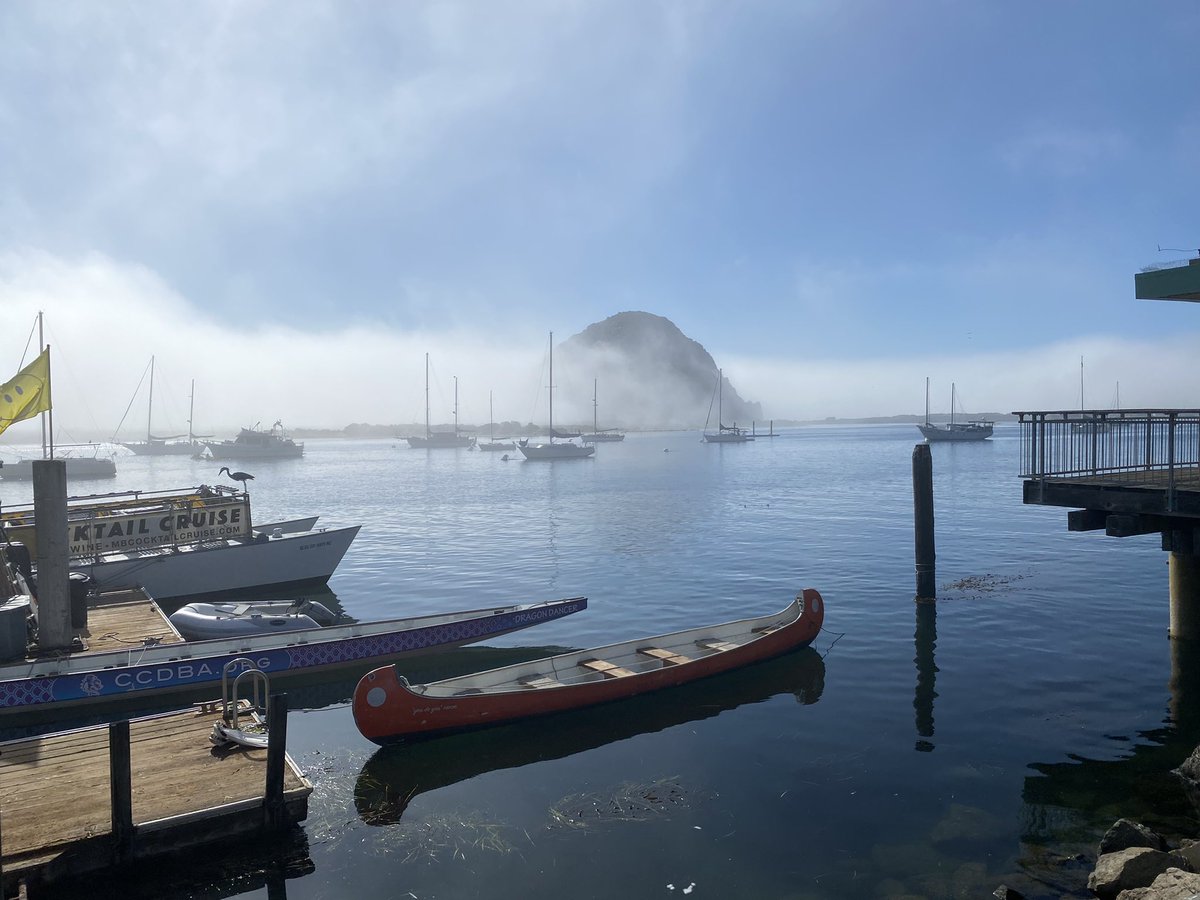 KathieLePage's tweet photo. @dearsusanbranch @Cocojack5 We just got back from Cayucos last week, stayed at @ShorelineInnCA loved the nature, food, and family. lol I didn’t bring cold weather clam chowder clothes. 68 was the high and I loved every minute of it #Cambria #MorroBay #TheSeaShanty #DuckiesChowderHouse https://t.co/RgWBdtbT5N