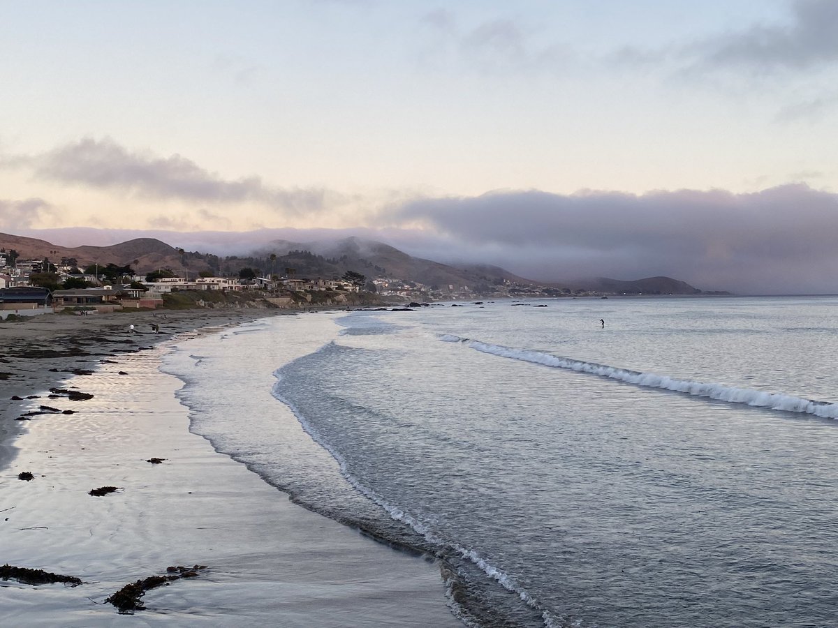 KathieLePage's tweet photo. @dearsusanbranch @Cocojack5 We just got back from Cayucos last week, stayed at @ShorelineInnCA loved the nature, food, and family. lol I didn’t bring cold weather clam chowder clothes. 68 was the high and I loved every minute of it #Cambria #MorroBay #TheSeaShanty #DuckiesChowderHouse https://t.co/RgWBdtbT5N
