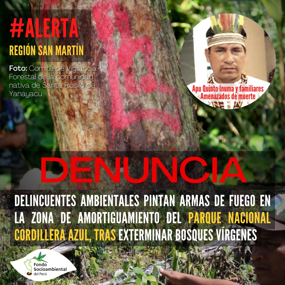 PeruFondo's tweet photo. 🚨#Urgente #DefensoresAmbientales | Amenaza de muerte dirigida a los defensores ambientales Apu Manuel Inuma, Quinto Inuma y a sus familiares; los delincuentes, dejaron revólveres dibujados en los troncos de lo árboles.
► https://t.co/3Ggq1rgDjI
.
#Amazonia #DelitosAmbientales https://t.co/5tVEXhLkyx