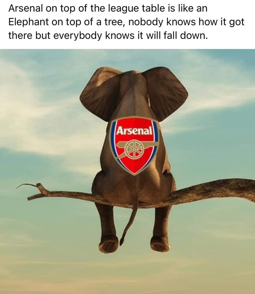lilspider007's tweet photo. This is How i feel about @Arsenal , but remember the 10x Rule. When you want Top 4, aim for the title 😎 #Arsenal #ArsenalvsVilla #ArsenalvsManUnited #ManUnitedVsArsenal https://t.co/IYLlOgB6Da