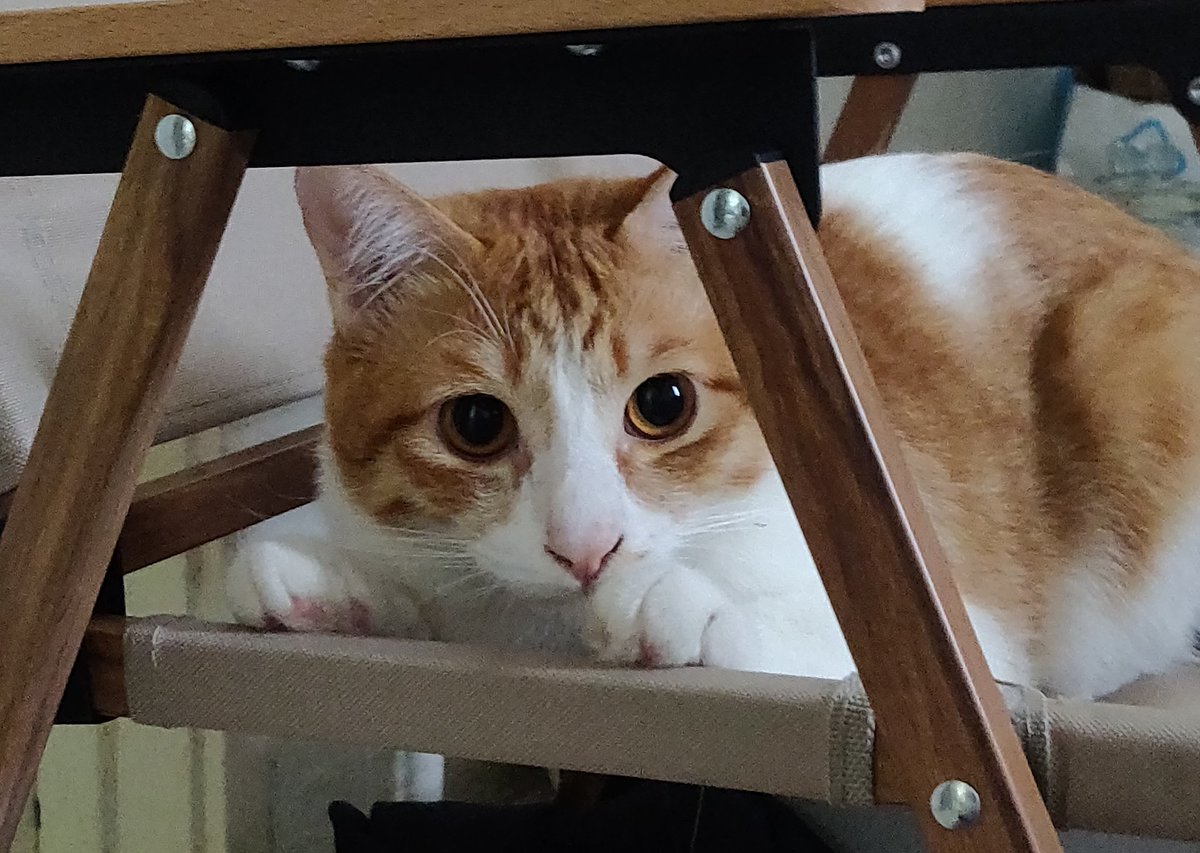 Hi guys, not sure if u notice but i just want to clarify that i raise the price of my girls every mint bcs their editions keep going down by 1.
Girl#1 = 50 ed and in the grand finale of the series, Girl#50 will be 1/1.
I wouldnt purposely raise price of my art just bcs of pride.