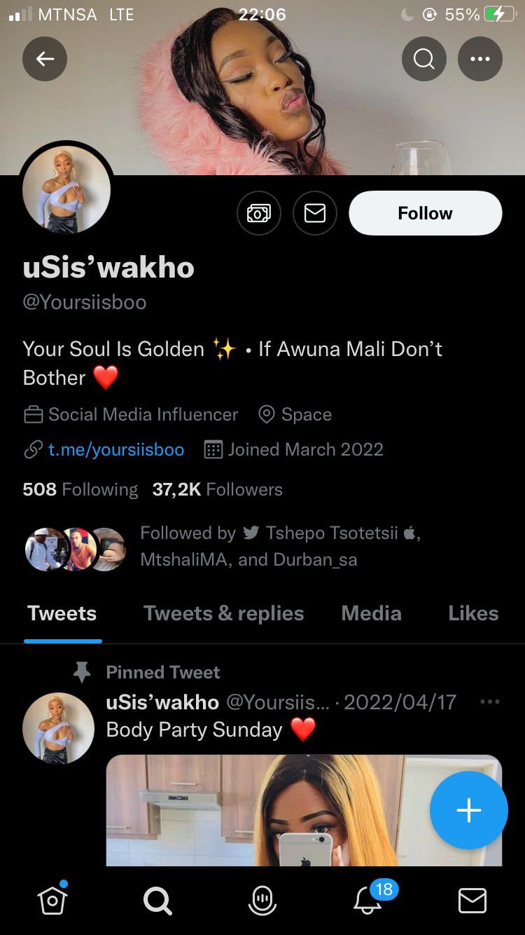 nourkwanda-on-twitter-please-help-me-to-report-this-fake-account